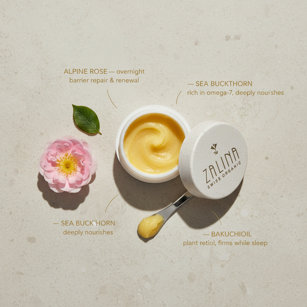 Night Goddess balsam ingredient flatlay with Alpine Rose and sea buckthorn on beige stone